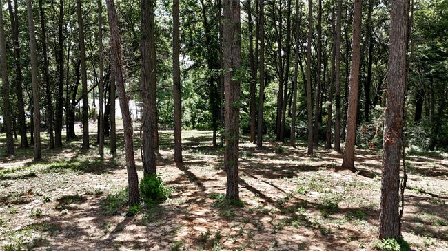Lot 340 Grand View Dr, Home with 0 bedrooms, 0 bathrooms and null parking in Athens TX | Image 5