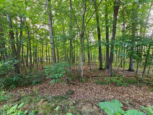 lOT 6 Jose Lake Dr, South Branch, MI, 48761 | Card Image