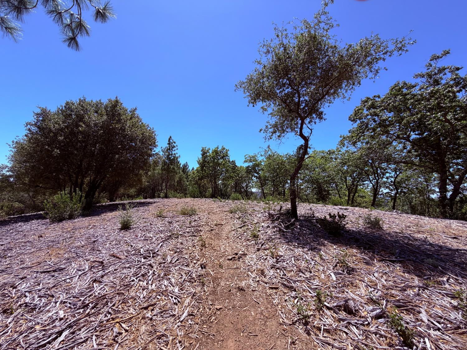 Land in Placerville 4