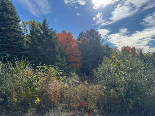 1.6 Acres January Drive, Garfield Charter Township, MI, 49684 | Card Image
