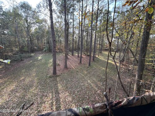 23 Pheasant Road, Roxie, MS, 39661 | Card Image