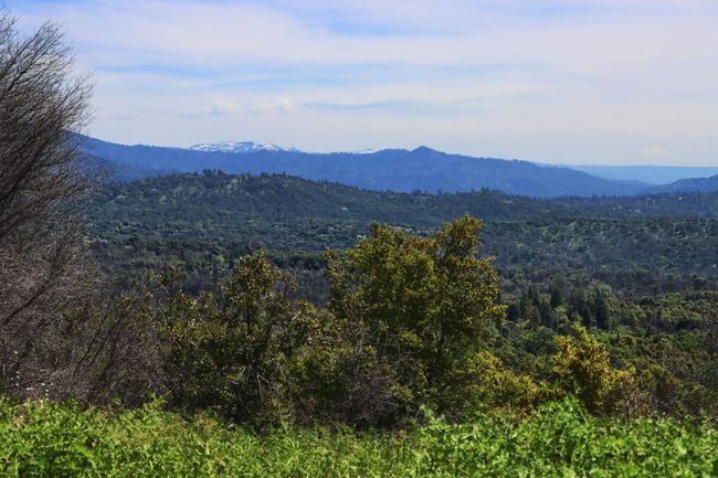 4632 Triangle Rd, Home with 0 bedrooms, 0 bathrooms and null parking in Mariposa CA | Image 17