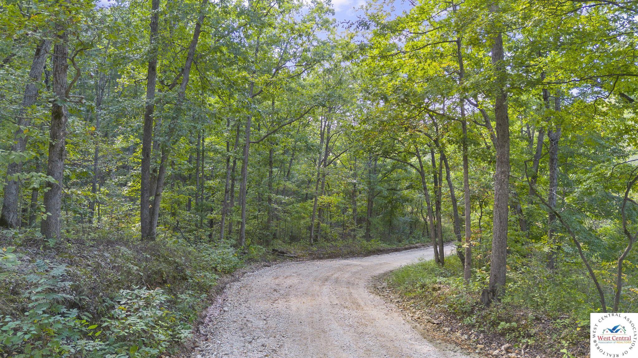 Land in Gravois Mills 3