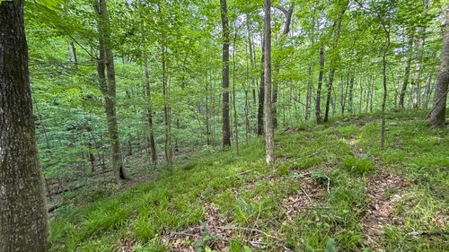 00 Murphy Hollow Rd, Trenton, GA, 30752 | Card Image