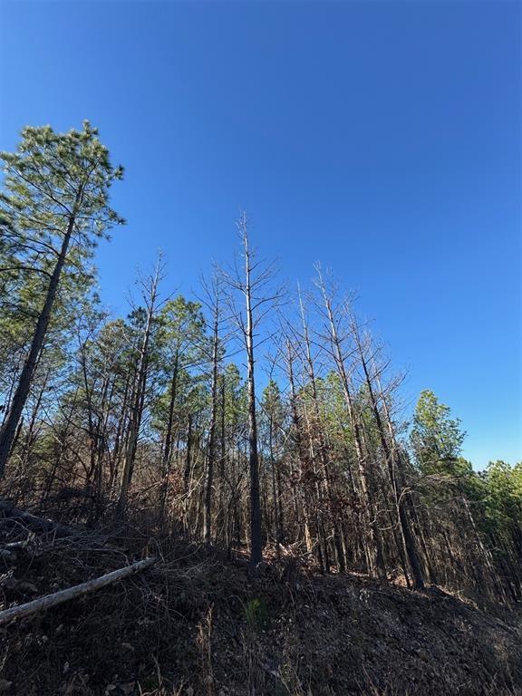 Land in Broken Bow 4