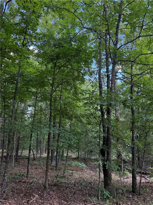 TBD County Road 6376, Elkins, AR, 72727 | Card Image