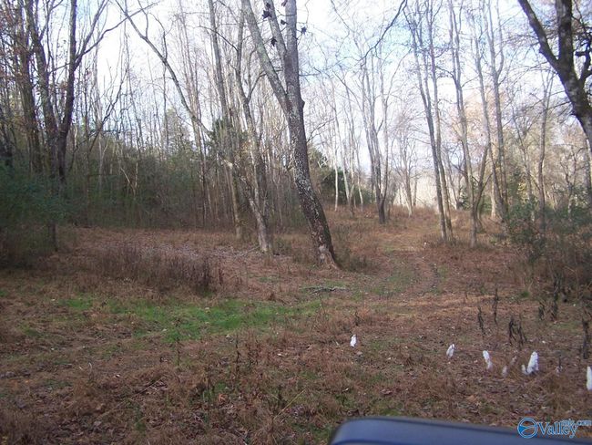 2176 Columbia Hwy, Home with 0 bedrooms, 0 bathrooms and null parking in Pulaski TN | Image 19