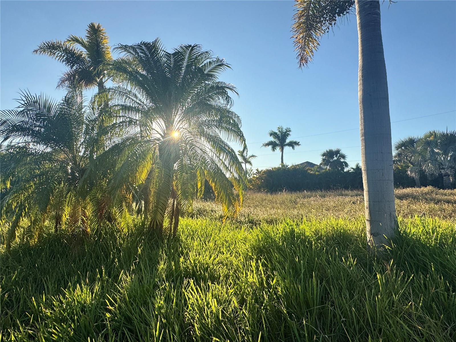 Land in PORT CHARLOTTE 5