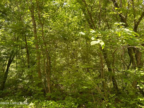 277-272277 Hills Pl, New Haven, KY, 40051-6150 | Card Image