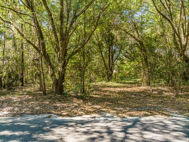 DJI_0362-HDR | Image 5