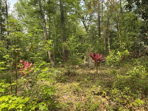 14 Crestwood Dr, TALLAHASSEE, FL, 32311 | Card Image
