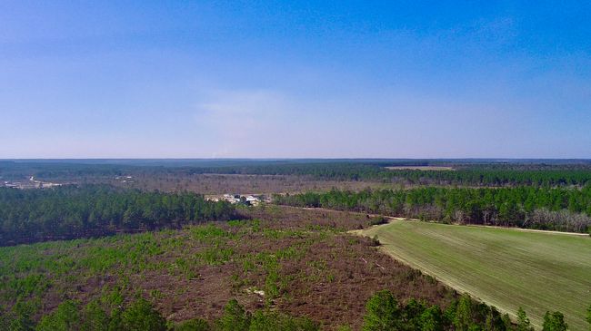 000 Three Notch Rd, Home with 0 bedrooms, 0 bathrooms and null parking in Monetta SC | Image 10
