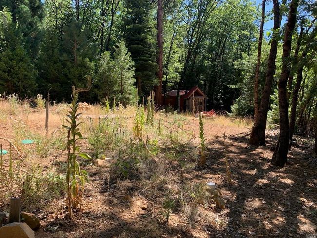 103 Lewis Ln, Home with 0 bedrooms, 0 bathrooms and null parking in Sierra City CA | Image 10