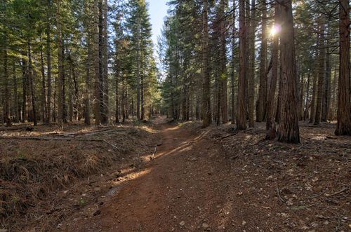 680 Sugar Pine Rd, Alta, CA, 95701 | Card Image