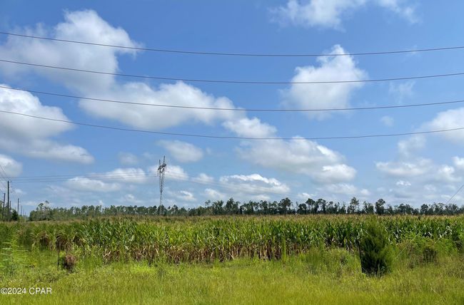 00 State Road 71 N, Home with 0 bedrooms, 0 bathrooms and null parking in Altha FL | Image 5