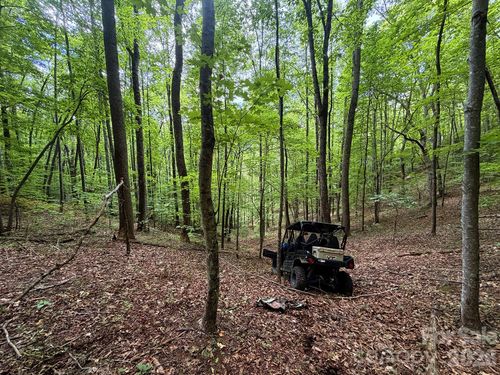 7777 Saw Branch Road, Candler, NC, 28715 | Card Image