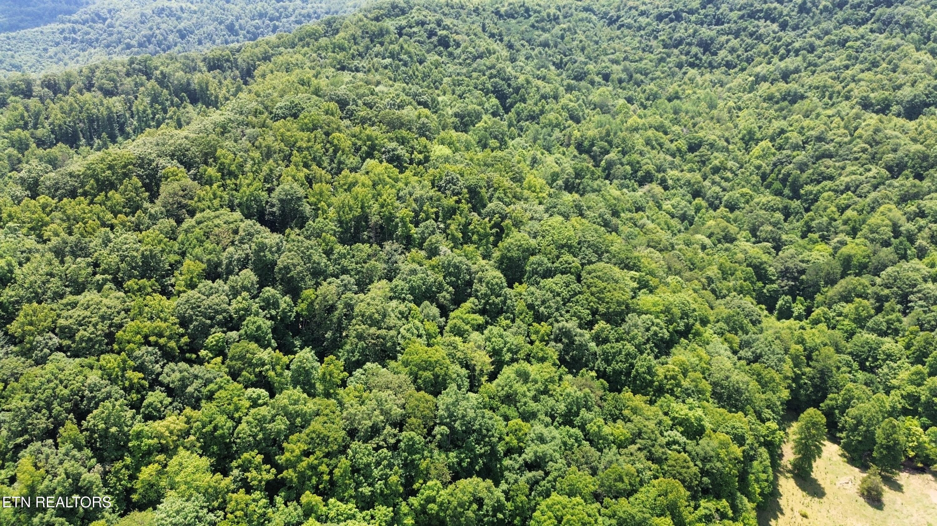 Land in LaFollette 4