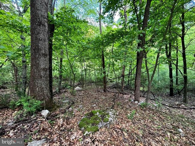 LOT 4 Yost Rd, Home with 0 bedrooms, 0 bathrooms and null parking in New Creek WV | Image 6