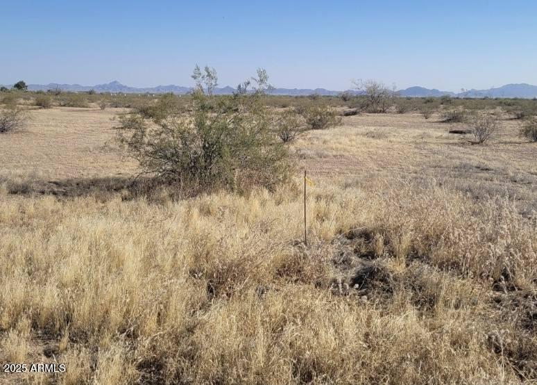 Land in Tonopah 2