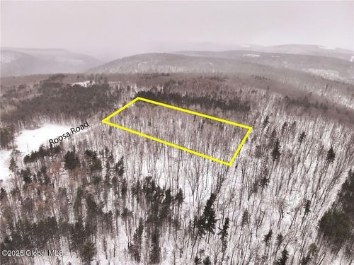 21 Roosa Road, Canisteo, NY, 14823 | Card Image