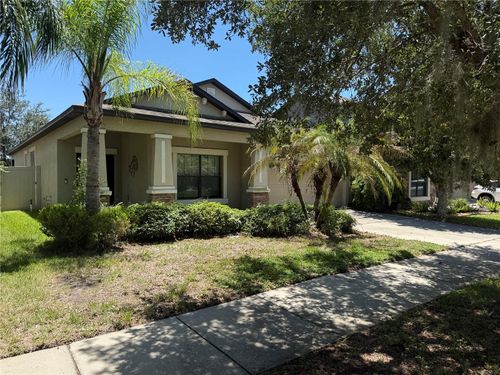 11617 Palmetto Pine St, Riverview, FL, 33569-6228 | Card Image