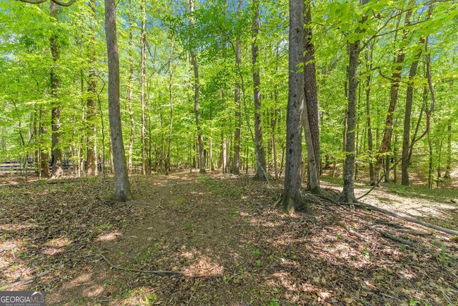 860 Canter Way, Home with 0 bedrooms, 0 bathrooms and null parking in Jefferson GA | Image 5
