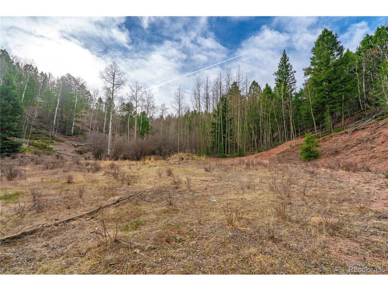 Land in Cripple Creek