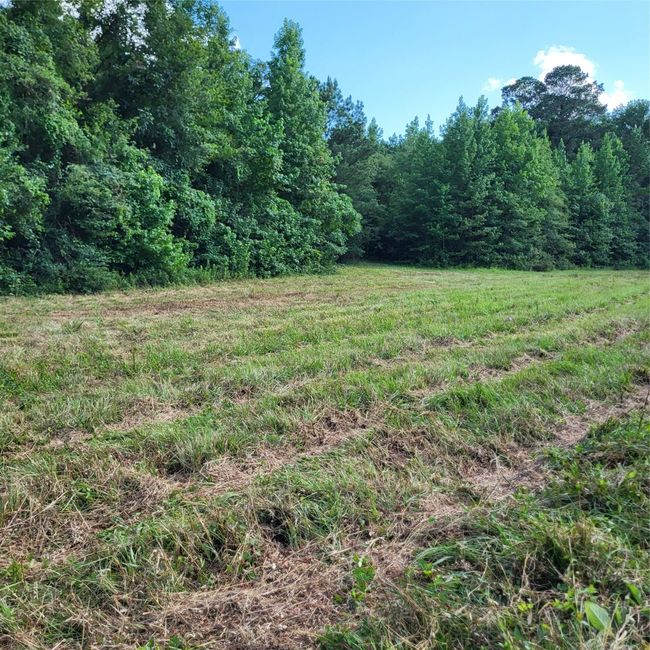 View of yard | Image 5