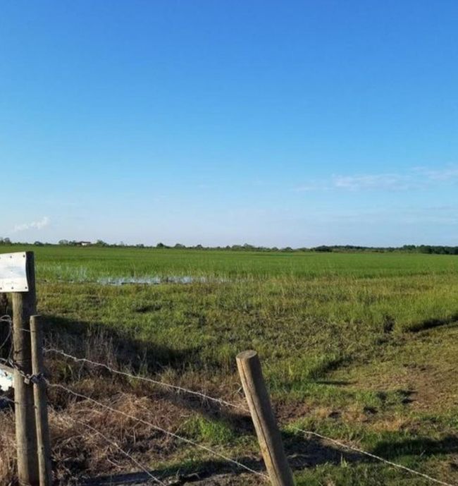 001 Fm 365, Home with 0 bedrooms, 0 bathrooms and null parking in Nome TX | Image 6