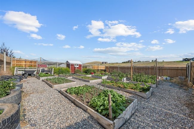 garden | Image 52