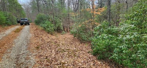 Lot 18 Gray Fox Trl, Blairsville, GA, 30512-0361 | Card Image