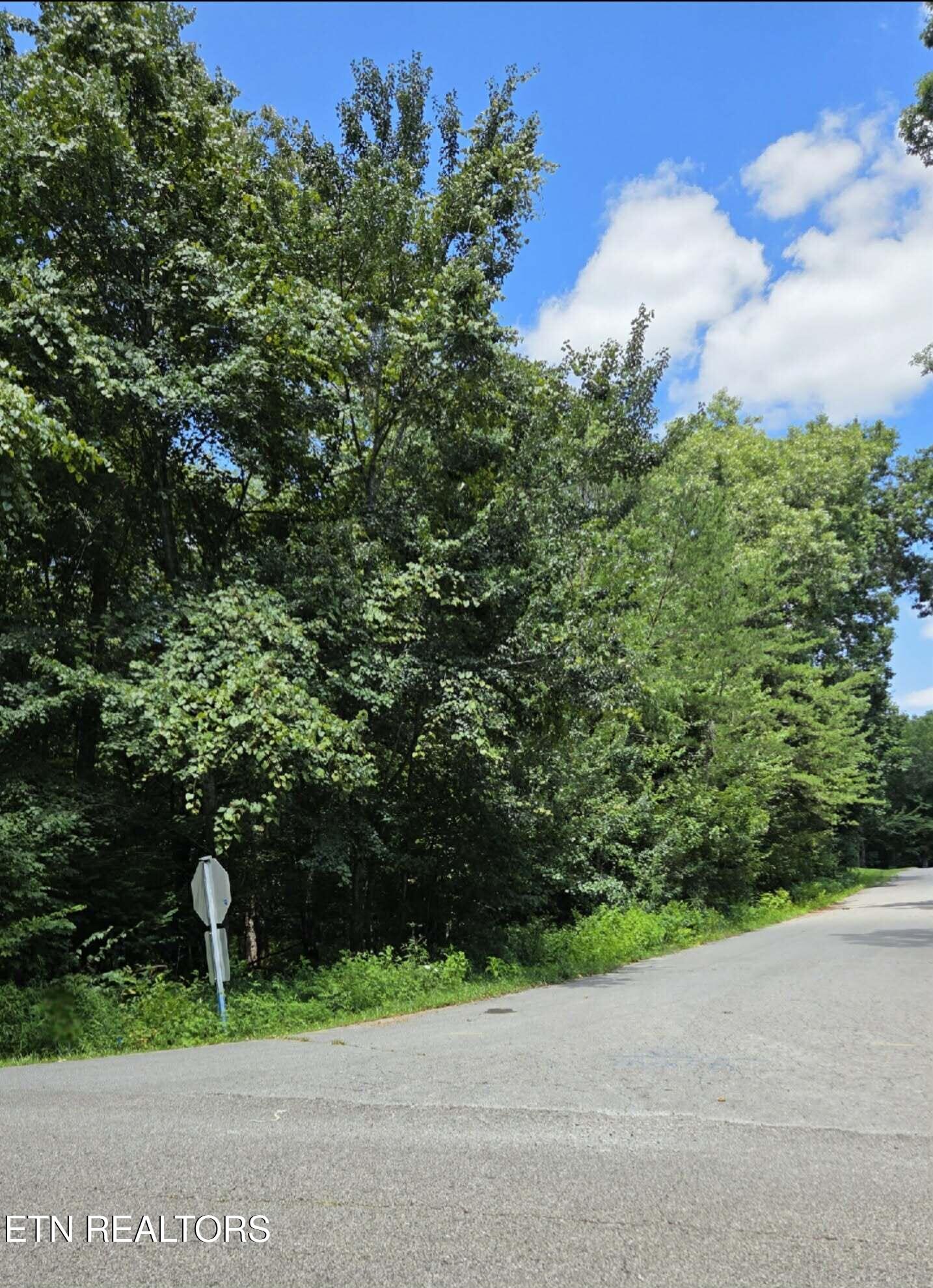 Land in Crossville 3