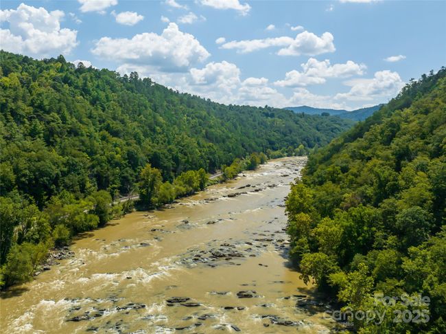 French Broad River | Image 22