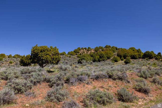 View of nature | Image 17