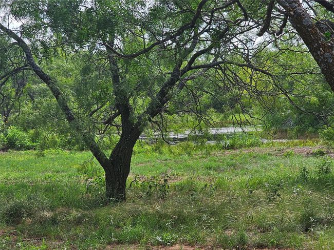 View of wooded area | Image 26