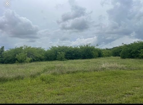 Lot 444 Indigo Bush Ct, Graford, TX, 76449 | Card Image