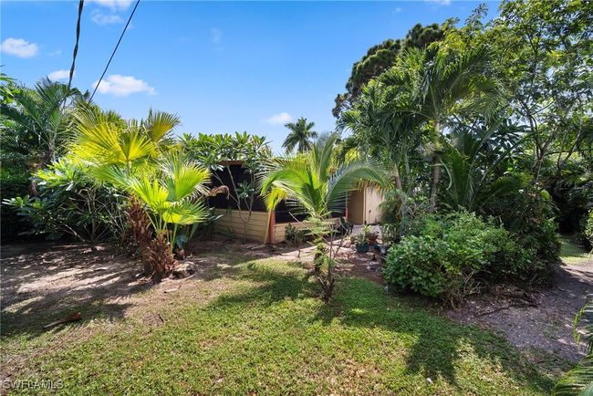 View of yard | Image 34