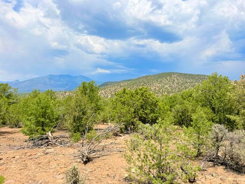 TBD Paseo Del Canon E, Taos, NM, 87571 | Card Image