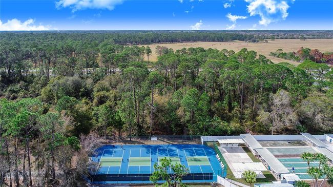 447 Pine Loop, Home with 0 bedrooms, 0 bathrooms and null parking in Frostproof FL | Image 9