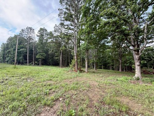 000 W Highway 32, Licking, MO, 65542 | Card Image