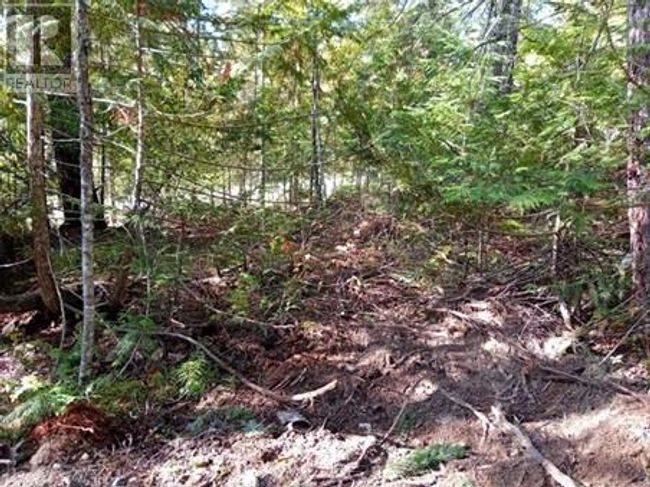 372 Aspen Rd, Home with 0 bedrooms, 0 bathrooms and null parking in Anglemont BC | Image 7