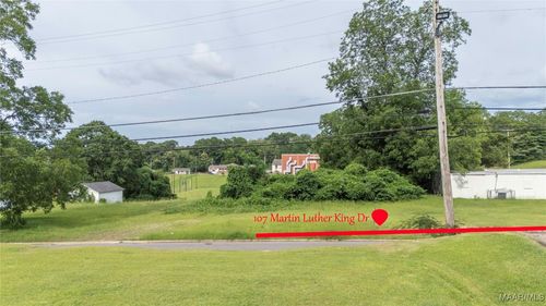 107 Martin Luther King Dr, Troy, AL, 36081-3530 | Card Image