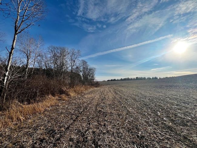 19698 County Road Br, Home with 3 bedrooms, 2 bathrooms and null parking in ROCKBRIDGE WI | Image 77