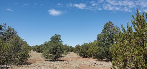 17 County Road 8077, Concho, AZ, 85924 | Card Image