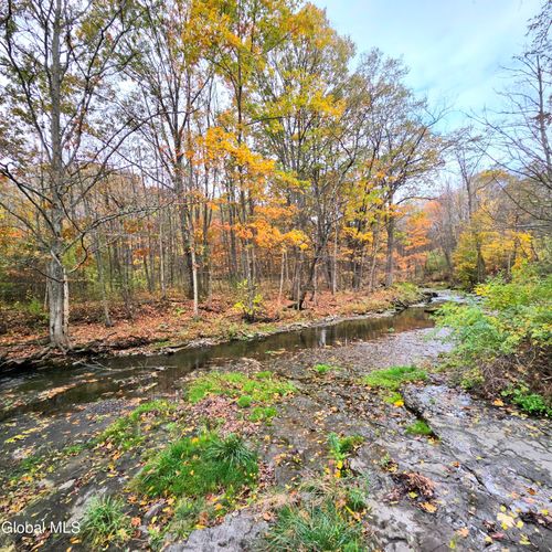 53 Tarrytown Rd, Clarksville, NY, 12041 | Card Image