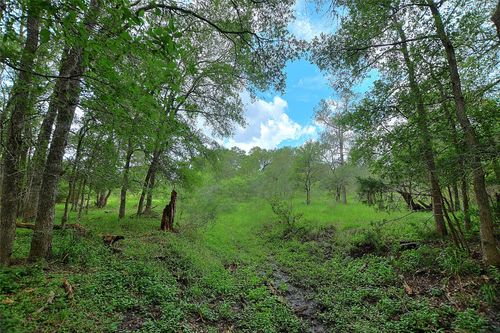 TBD Whitworth Ln, Bastrop, TX, 78602 | Card Image