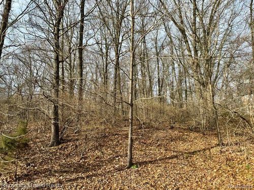 Vacant Land #9 Climbing Way, Hamburg Township, MI, 48169 | Card Image