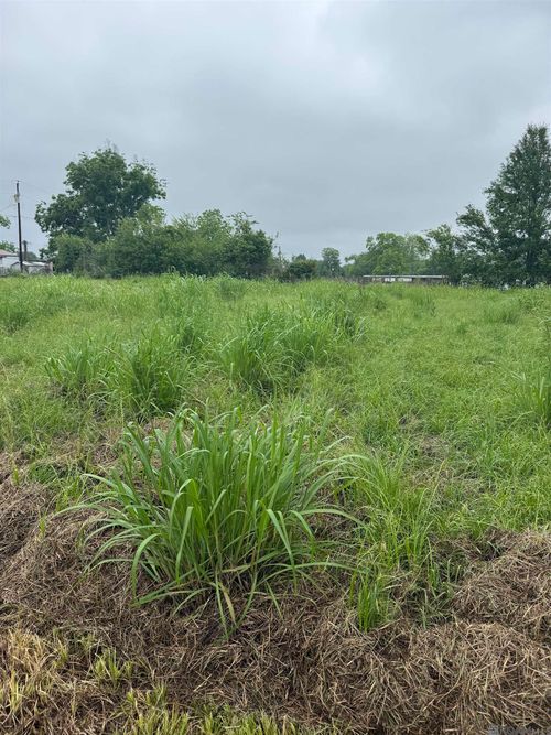 TBD Lance St, Ventress, LA, 70783 | Card Image