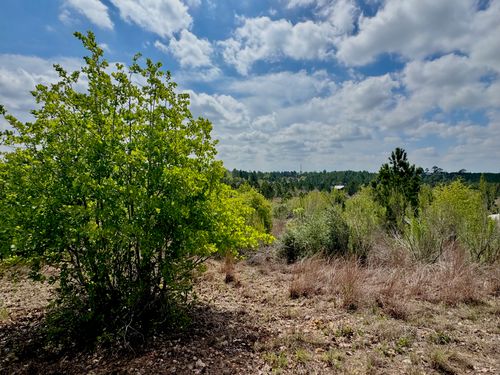 TBD Hudson Rd, Smithville, TX, 78957 | Card Image