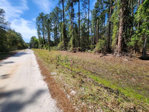 116 Mosswood St, GEORGETOWN, FL, 32139-2818 | Card Image